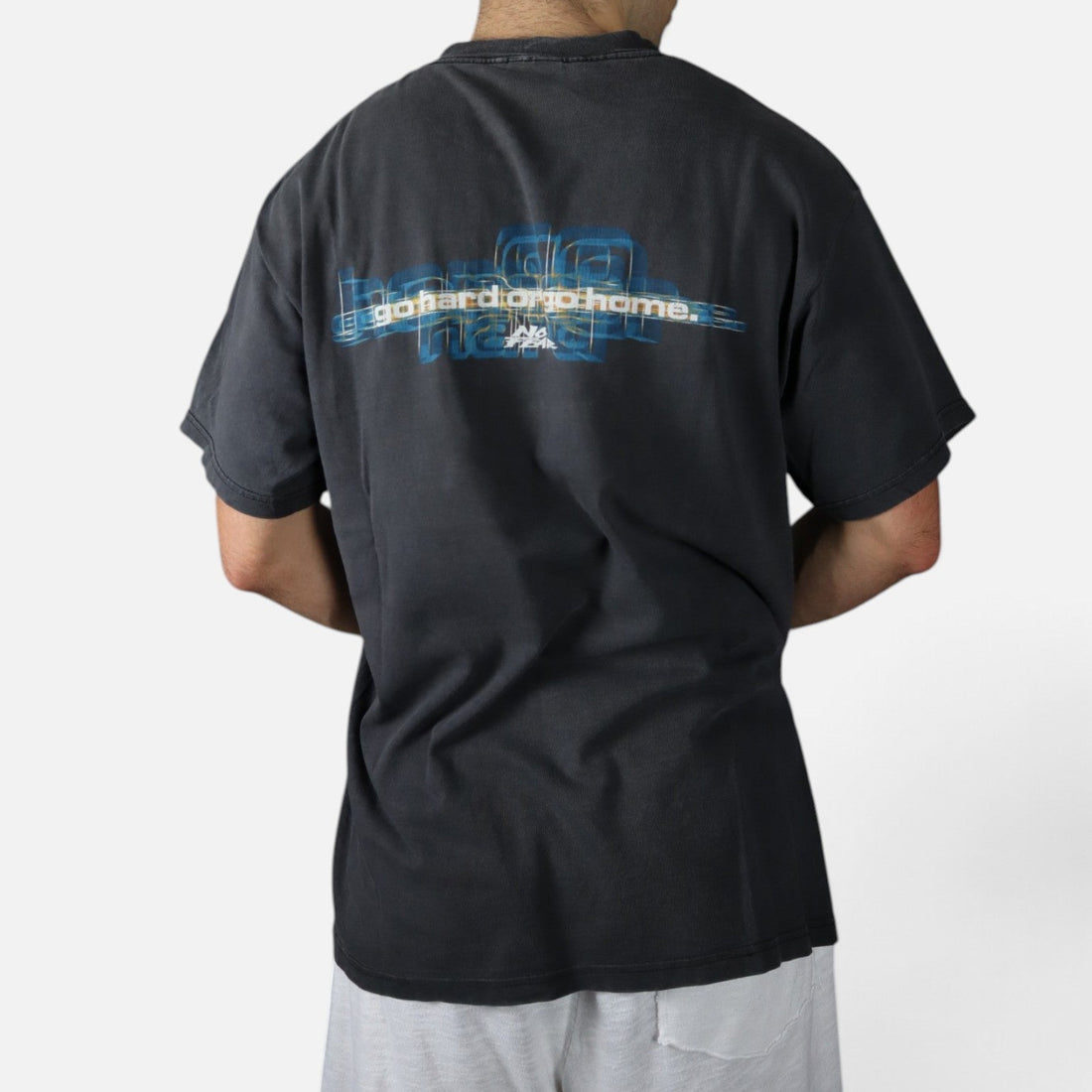 Vintage No Fear Go Hard or Go Home tee, worn back